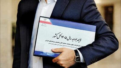 وقتی تورم ۵۰ درصد است، بودجه ۲۰ درصدی رأی نمی‌آورد!