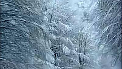 فیلم سفر به دل طبیعت؛ مسیر دیدنی زمستانی سیاهکل تا دیلمان همراه با نوای دلنشین مرحوم ناصر مسعودی