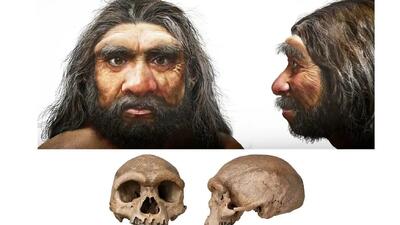 برای اولین بار: چهره واقعی اجداد اولیه انسان فاش شد!