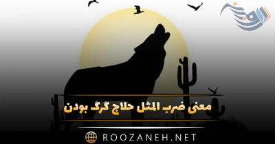  معنی ضرب المثل حلاج گرگ بودن + داستان جالب این ضرب المثل