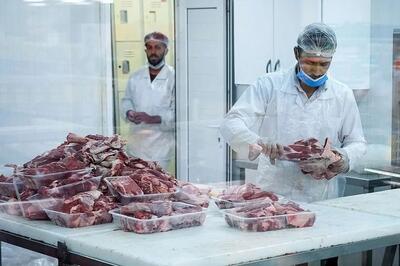  توزیع گسترده گوشت گرم گوساله وارداتی در میادین میوه و تره‌بار تهران: جزئیات و تاثیرات - سلام نو