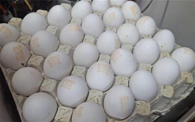 قیمت تخم مرغ نجومی شد! تخلف برخی فروشندگان