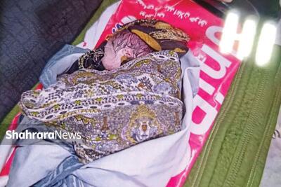 پیدا شدن نوزاد برهنه رها شده در سطل زباله