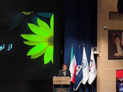 تمرکز بر ۲۰ درصد فعالیت‌ها، کلید ۸۰ درصد ارزش‌افزوده است