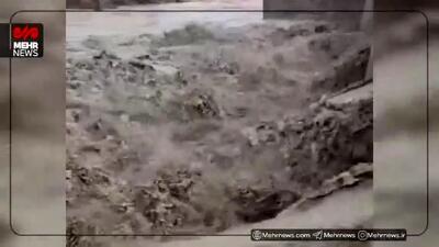 طغیان رودخانه کنارجو در بخش بمانی سیریک + ویدیو
