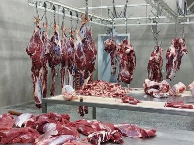 آغاز توزیع گوشت در میادین و بازارهای میوه و تره‌بار