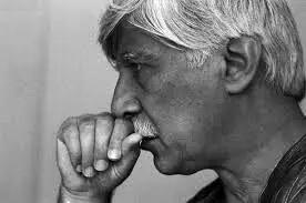 در سوگ فردوسی زمانه