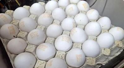 تخم‌مرغ گران شد؛ افزایش ناگهانی در بازار مواد غذایی