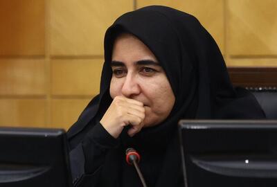 افزایش ۴۰ درصدی بودجه شرکت‌های دولتی قابل تامل است