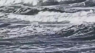  ساحل استگنا در لهستان کاملاً ناپدید شد