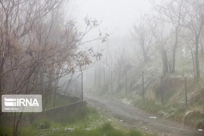  تهرانی‌ها تا سه‌شنبه منتظر یک غافلگیری باشند