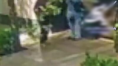 لحظات زورگیری از زن باردار در محله نارمک