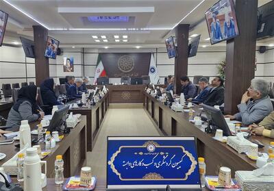 خراسان جنوبی در آستانه تبدیل شدن به قطب گردشگری سلامت شرق کشور - تسنیم