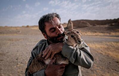 سازمان حفاظت محیط زیست 800 محیط‌بان جدید جذب کرد - تسنیم