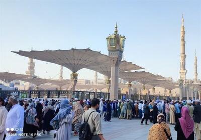 ورود کاروان دانشجویان متاهل به مدینه - تسنیم