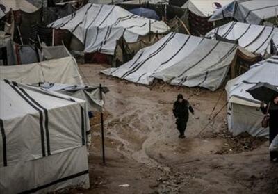 غزه غرق در سیلاب مصیبت؛ سرما جان 17 نفر را گرفت - تسنیم