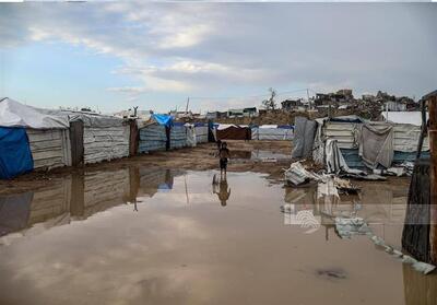 6کودک در نوار غزه از سرما یخ زدند - تسنیم