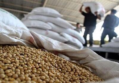 کاربرد فناوری هسته‌ای در جلوگیری از فساد سویا در انبار - تسنیم