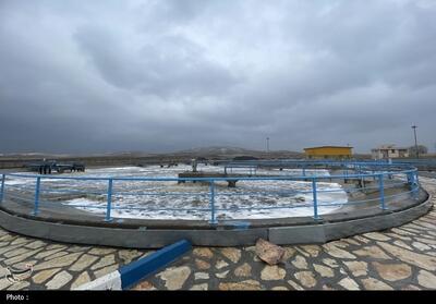 وقتی قوه قضاییه وارد می‌شود؛ صیانت از حقوق عامه در کردستان از شعار تا اقدام - تسنیم