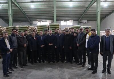 85 درصد نیاز بذر ذرت کشور را تأمین می‌کنیم - تسنیم