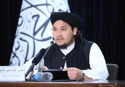 طالبان: گزارش‌های ناامن خواندن افغانستان غیرواقعی است - تسنیم