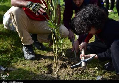 هرمدرسه یک نهالستان؛ سرمایه‌گذاری سبز برای نسل آینده در استان سمنان - تسنیم