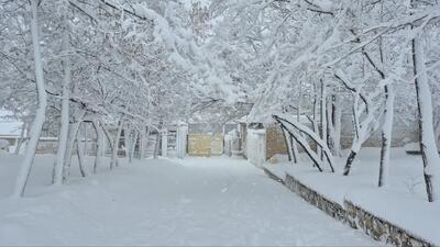  حال و هوای برفی بوئین میاندشت از لنز دوربین شهروندخبرنگار