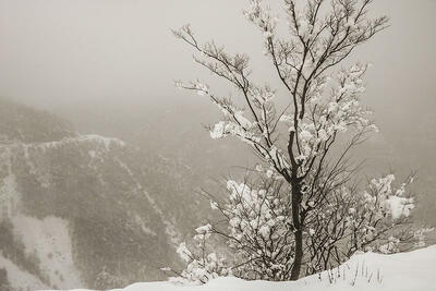 بارش برف زمستانی در تهران + فیلم
