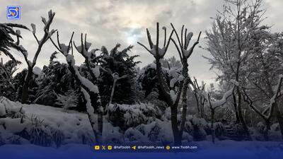 هواشناسی ایران | بارش‌ها سنگین ادامه دارد؛ کدام استان‌ها برفی می‌شوند؟