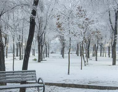 فردا «سردترین» روز سال است