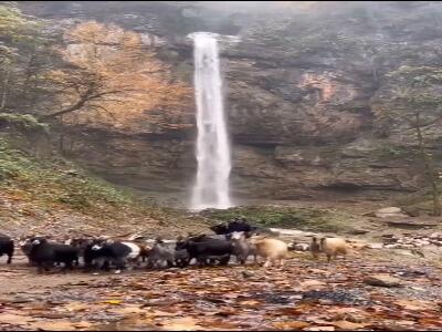  طبیعت زیبای آبشار تودارک مازندران