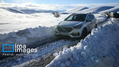  برف و کولاک در کردستان