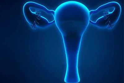 فیبروم رحمی با خطر بیماری قلبی در زنان مرتبط است / علائم هشداردهنده و نکات پیشگیری