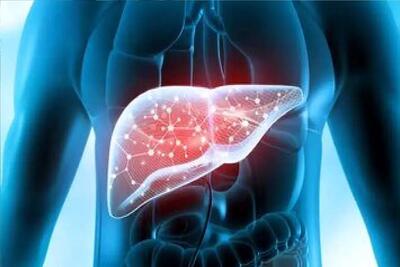 ۵ نشانه روی صورت که خبر از کبد چرب می‌دهند / چگونه پوست و چشم‌ها به شما درباره سلامت کبد هشدار می‌دهند