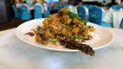  پخت مارماهی بزرگ در غرفه غذای خیابانی نیویورک (فیلم)