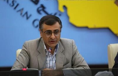 معاون سازمان برنامه و بودجه: ورود میلیاردها دلار به کشور ظرف یک هفته آینده (فیلم)