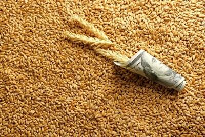 واردات نجومی گندم به ایران؛ بیش از ۱.۵ میلیون تن در ۸ ماه!