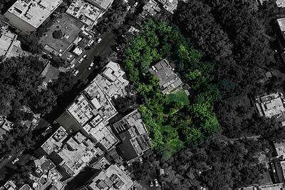  باغ ۳ هزارمتری زعفرانیه چگونه در یک جلسه مشکوک غیرباغ شد؟!