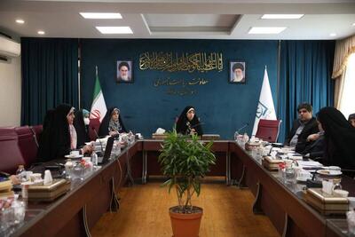  برگزاری نشست تخصصی بررسی آزار و خشونت خانگی با تمرکز بر خانه‌های امن