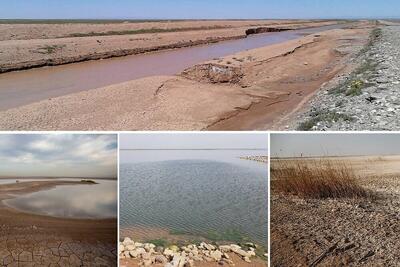  همکاری جوامع محلی؛ حیات تالاب‌ الله آباد راتضمین می کند