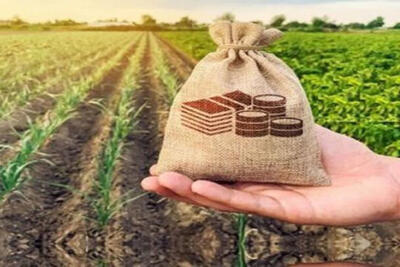  ضرورت افزایش اعتبارات صندوق بیمه کشاورزی - اکونیوز