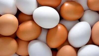 افزایش بی‌سابقه قیمت تخم مرغ؛ شانه‌ای چند؟