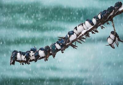 هشدار بارش‌ سیل‌آسا و کولاک برف در ۶ استان