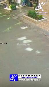 دزدی پاستیل، شیر و گوشت؛ اخلاق بماند برای وقتی که شکم سیر بود!