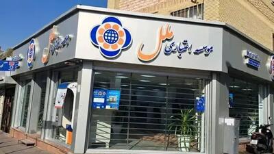  این مرحله محرمانه‌ است! + ویدئو | توضیحات سخنگوی عدلیه درباره پرونده مدیرعامل سابق موسسه اعتباری ملل