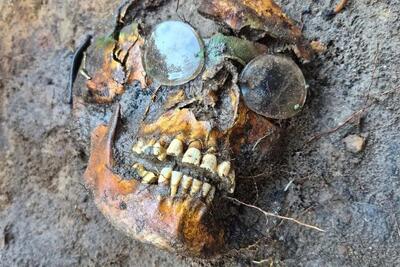 رازگشایی از معمای ۸۰ ساله در جنگل! | عکس