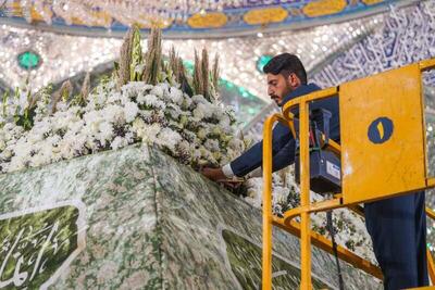  گل آرایی زیبای ضریح امیرالمومنین(ع) | تصاویر