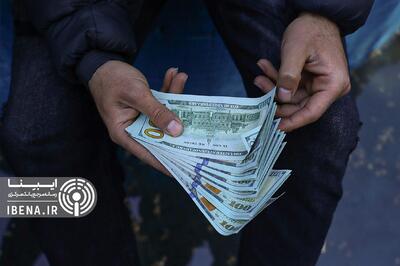 دیدگاه نمایندگان مجلس درباره نوسانات ارزی/ راهکاریی که می‌تواند هیجانات را مهار کند