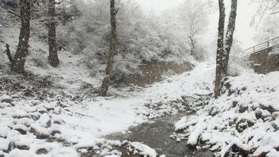  گزارش تصویری / بارش برف زمستانی سوادکوه - مازندران