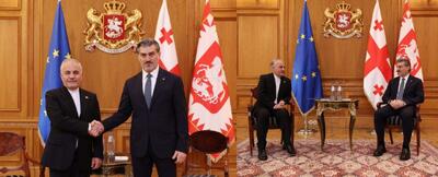 دیدار خداحافظی سفیر ایران با رئیس‌جمهور گرجستان